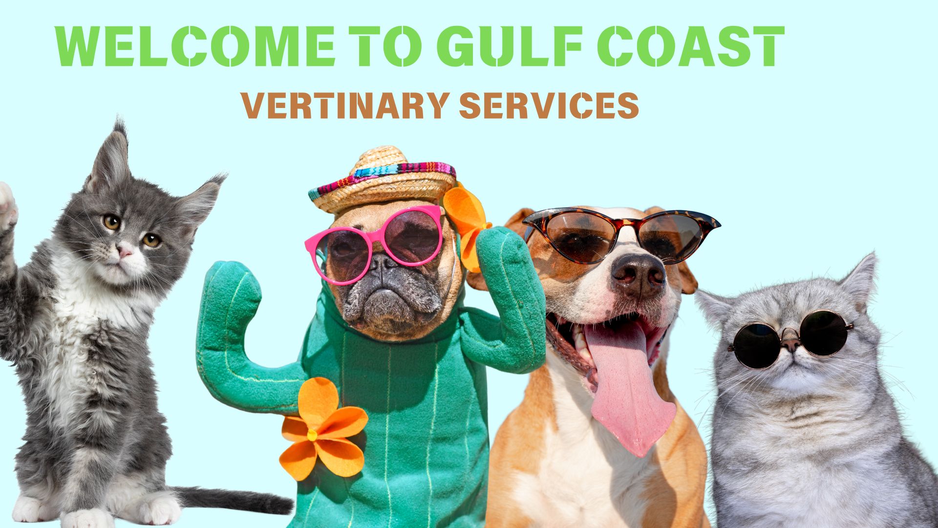 Animated Gulf Coast