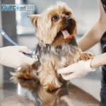 General-check-up.jpg